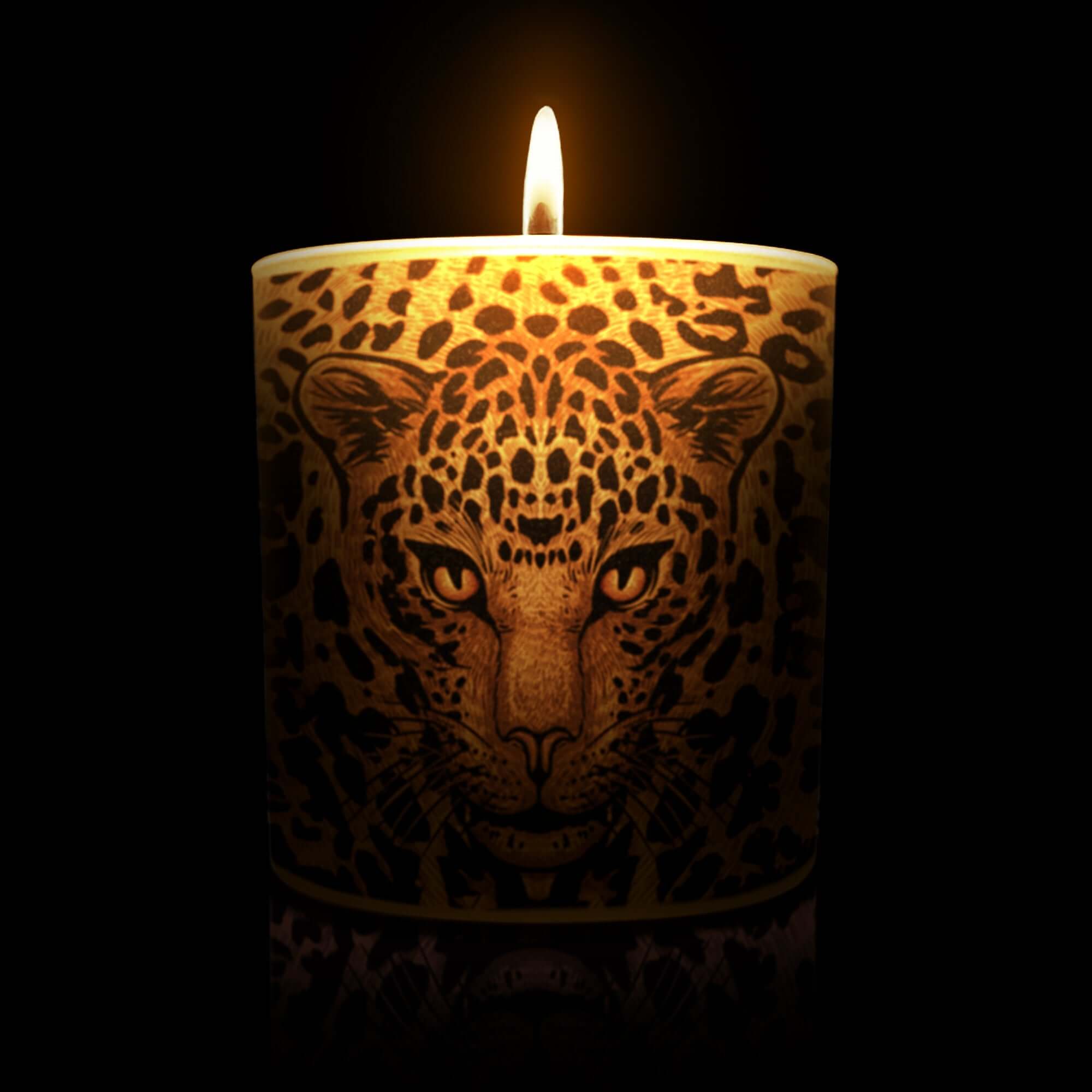 Animalia Candle Collection | Wildlife-Inspired Luxury Bougies Parfumées