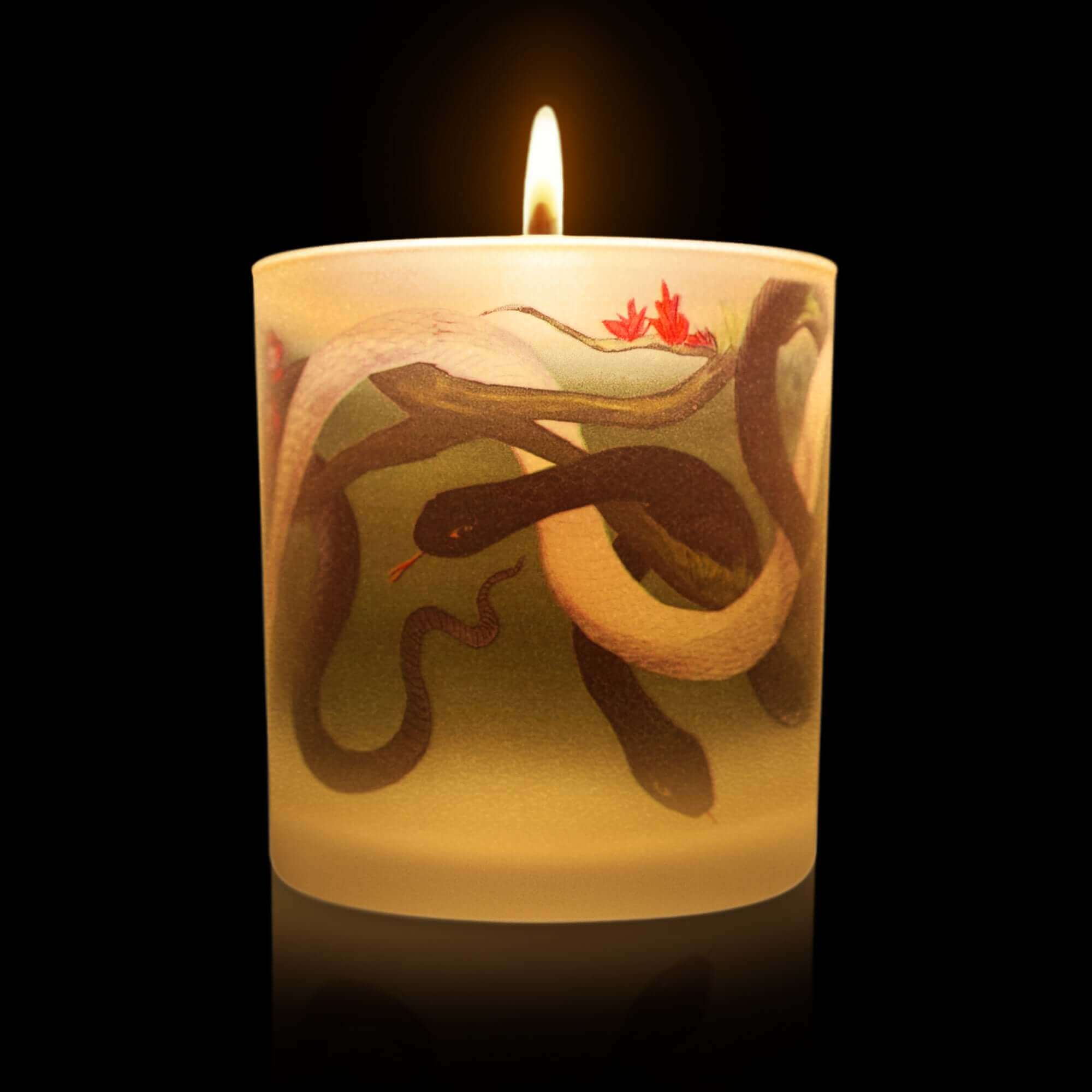 All Products Candle Collection | Luxury Bougies Parfumées