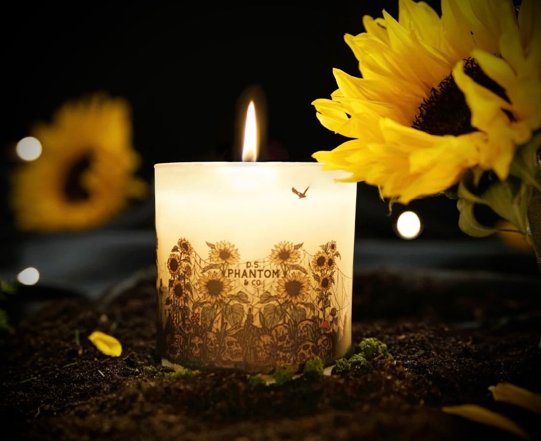 Botanical Candle Collection | Luxury Bougies Parfumées