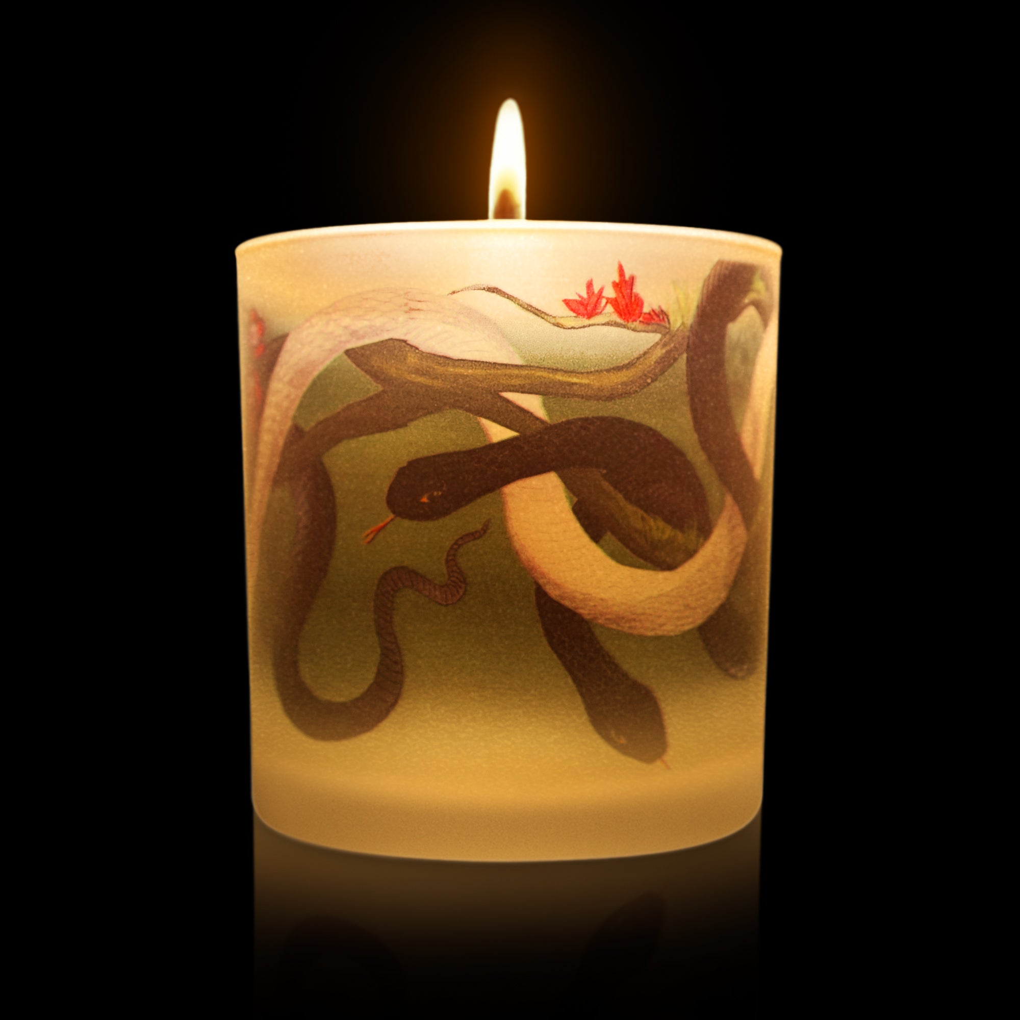 lit Candle with snake design and flame on a green background