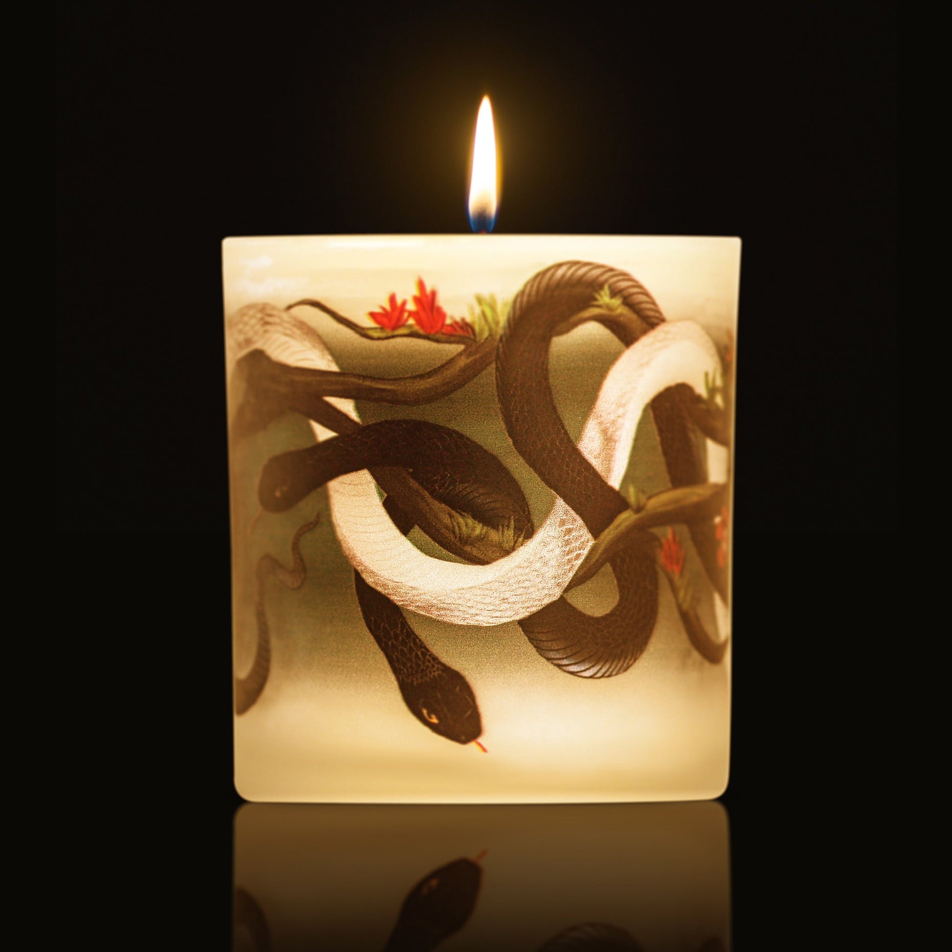 Candles - Sssnakes lit candle