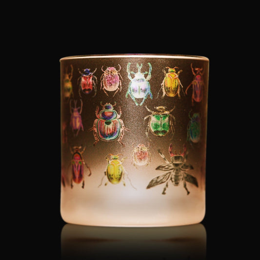 Luxury candle with artwork depicting many colorful beetles