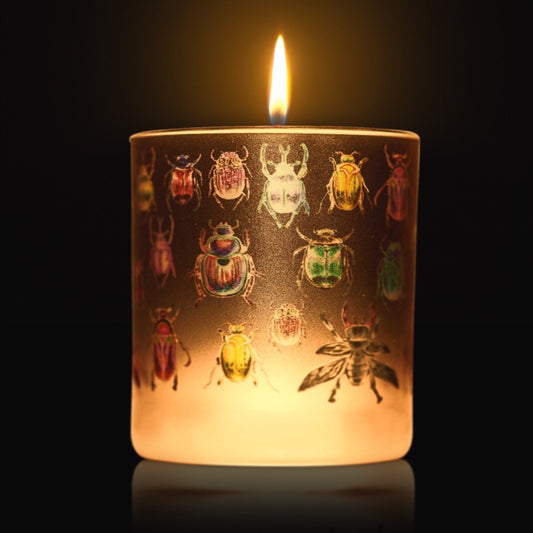 Lit Luxury candle with artwork of many colorful beetles