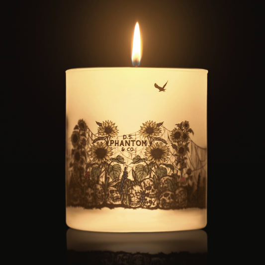 Lit candle 360 artwork of sunflower field growing from bones